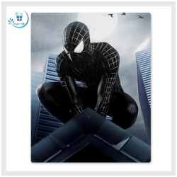 Spider-Man Photo Aluminium...