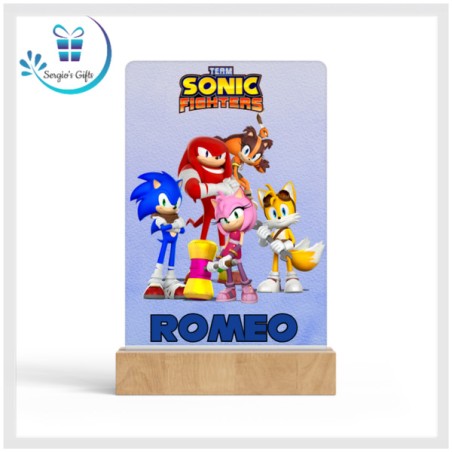 Team Sonic Panel with Light Stand