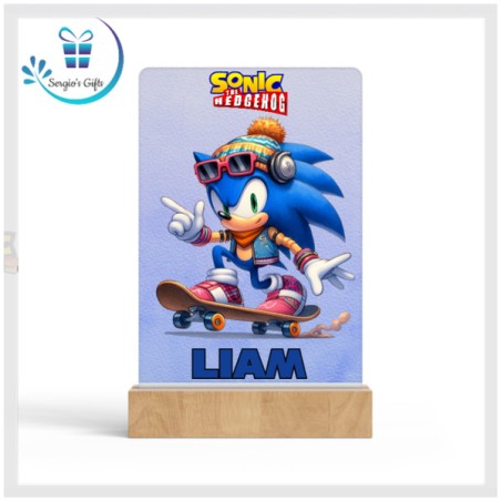 Team Sonic Panel with Light Stand